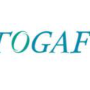 TOGAF® 9.2: Enterprise Architecture Methodology and Framework